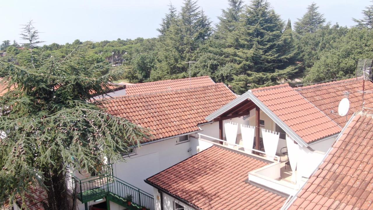 Apartment Katoro Umag Exterior foto